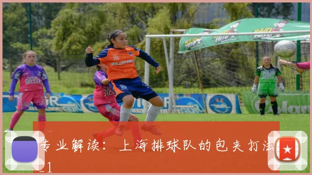 专业解读：上海排球队的包夹打法_1