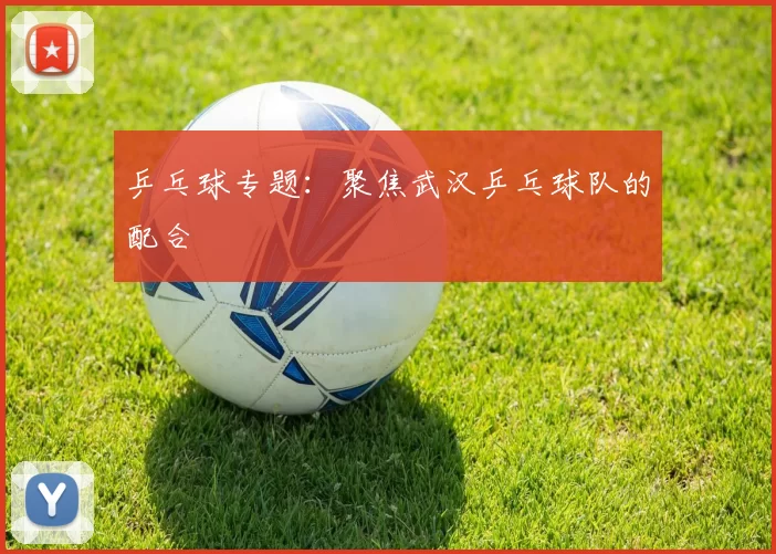 乒乓球专题：聚焦武汉乒乓球队的配合