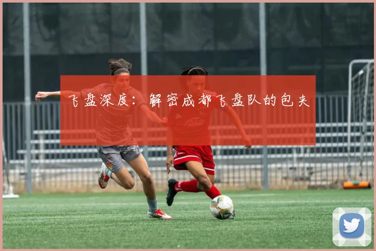 飞盘深度：解密成都飞盘队的包夹