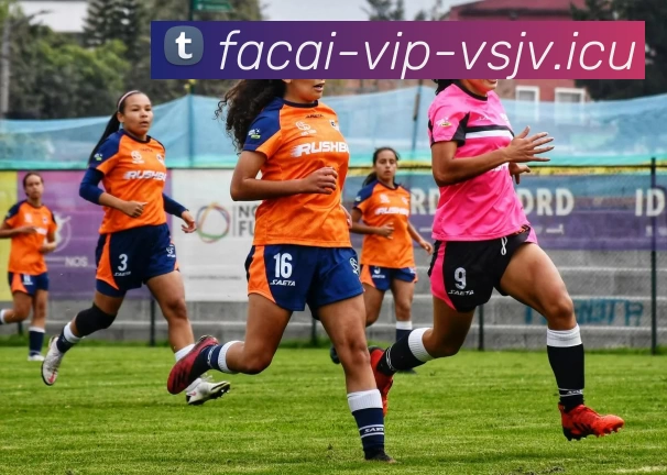 乐竞体育品牌故事